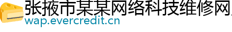 张掖市某某网络科技维修网点